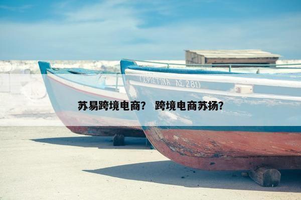 苏易跨境电商？ 跨境电商苏扬？