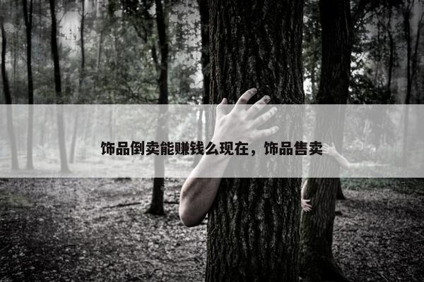 饰品倒卖能赚钱么现在，饰品售卖