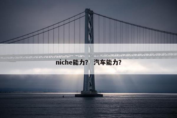 niche能力？ 汽车能力？