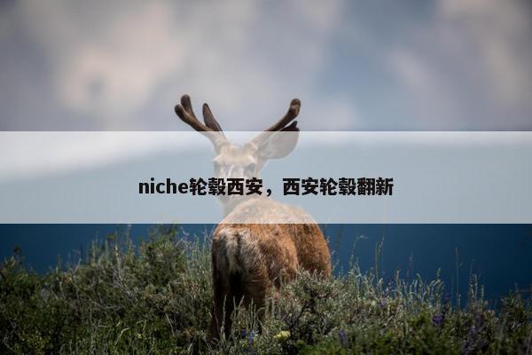 niche轮毂西安，西安轮毂翻新
