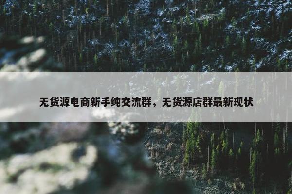 无货源电商新手纯交流群，无货源店群最新现状