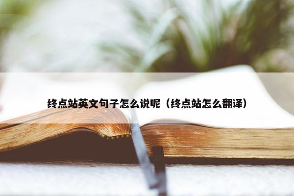 终点站英文句子怎么说呢（终点站怎么翻译）
