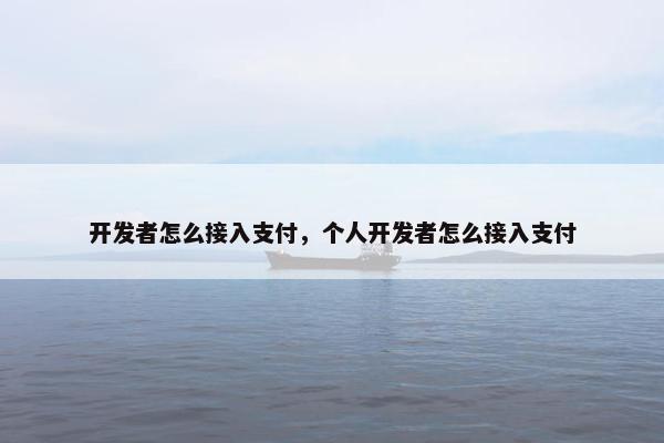 开发者怎么接入支付，个人开发者怎么接入支付