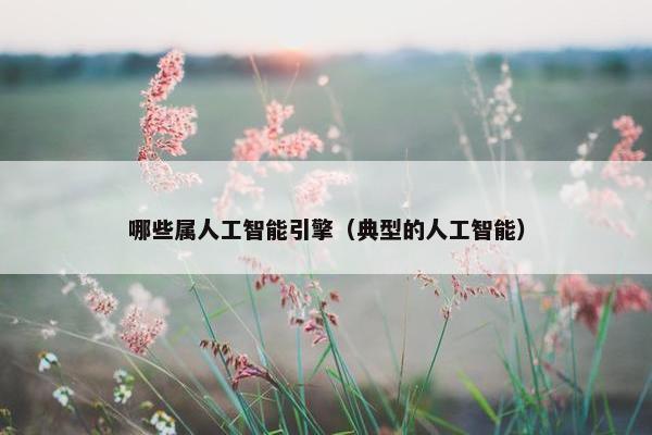哪些属人工智能引擎（典型的人工智能）