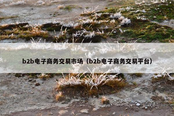 b2b电子商务交易市场（b2b电子商务交易平台）