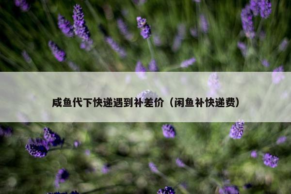 咸鱼代下快递遇到补差价（闲鱼补快递费）