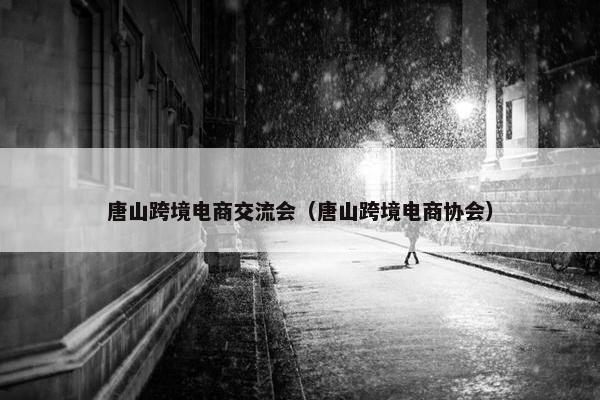 唐山跨境电商交流会（唐山跨境电商协会）