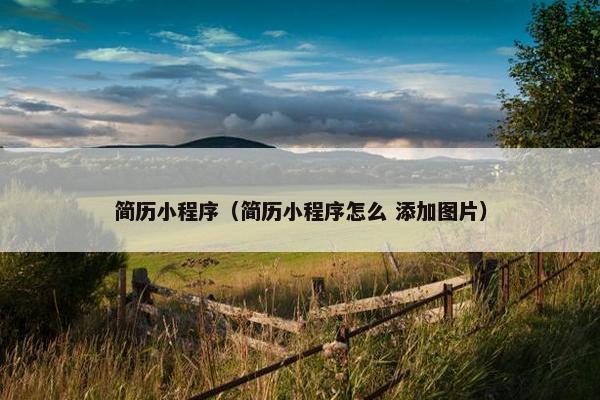 简历小程序（简历小程序怎么 添加图片）