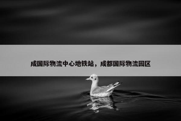 成国际物流中心地铁站，成都国际物流园区