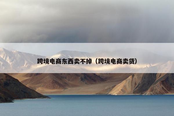 跨境电商东西卖不掉（跨境电商卖货）