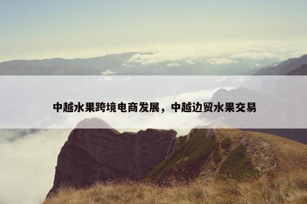 中越水果跨境电商发展，中越边贸水果交易