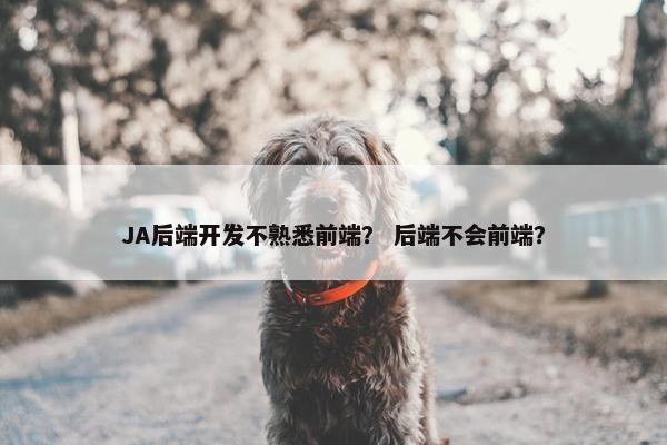 JA后端开发不熟悉前端？ 后端不会前端？