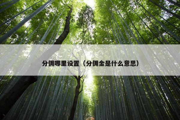 分佣哪里设置（分佣金是什么意思）
