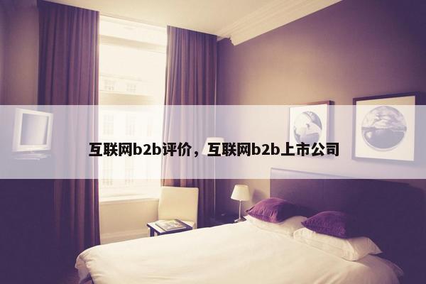 互联网b2b评价，互联网b2b上市公司