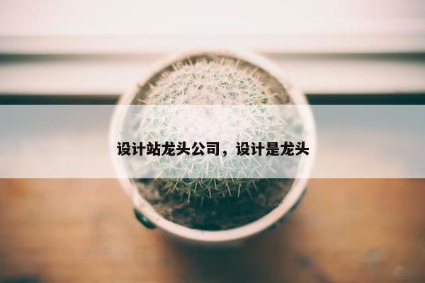 设计站龙头公司，设计是龙头