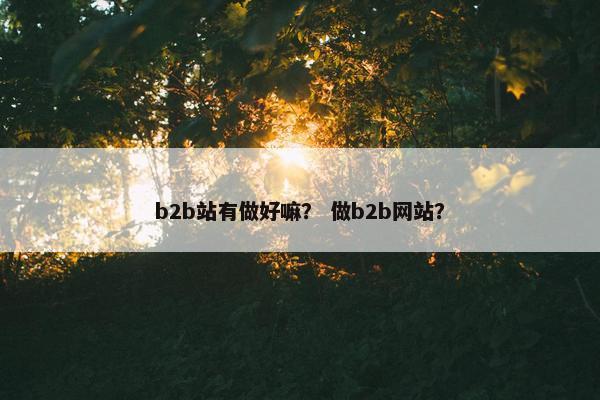 b2b站有做好嘛？ 做b2b网站？