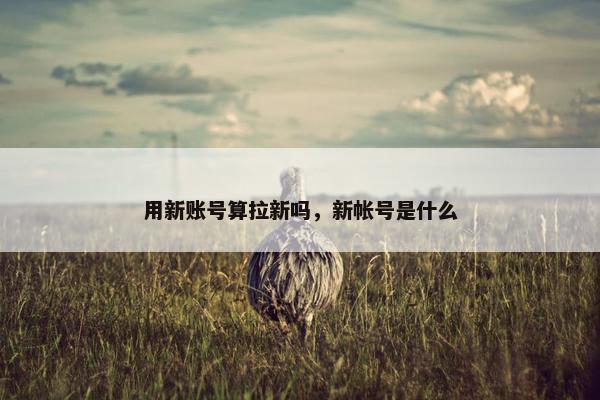 用新账号算拉新吗，新帐号是什么