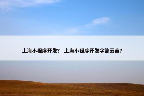 上海小程序开发？ 上海小程序开发字答云商？