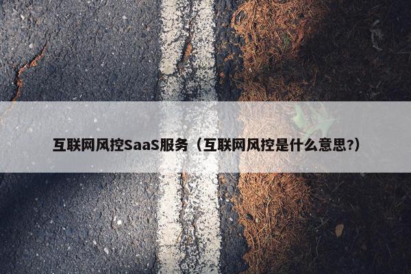 互联网风控SaaS服务（互联网风控是什么意思?）