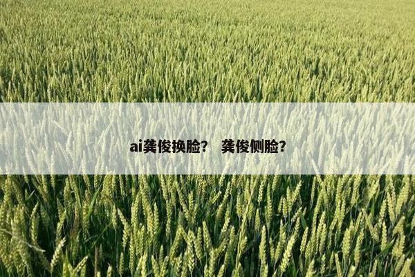 ai龚俊换脸？ 龚俊侧脸？