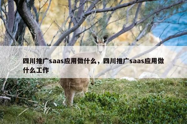 四川推广saas应用做什么，四川推广saas应用做什么工作