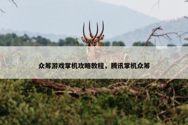 众筹游戏掌机攻略教程，腾讯掌机众筹