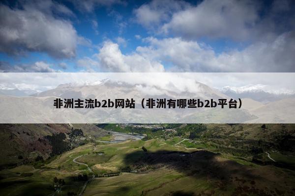 非洲主流b2b网站（非洲有哪些b2b平台）