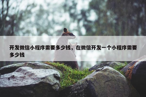 开发微信小程序需要多少钱，在微信开发一个小程序需要多少钱