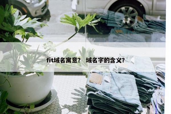 fit域名寓意？ 域名字的含义？