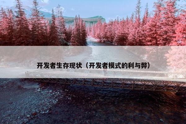 开发者生存现状（开发者模式的利与弊）
