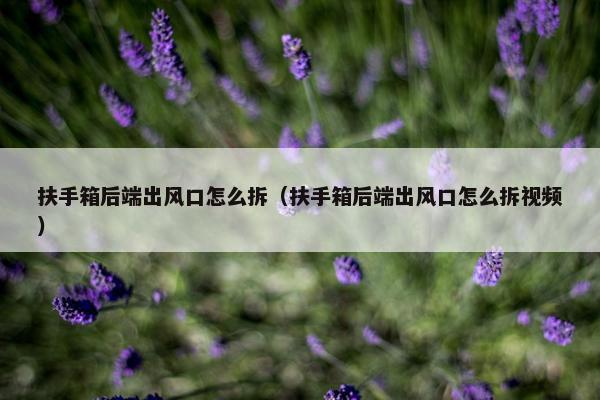扶手箱后端出风口怎么拆（扶手箱后端出风口怎么拆视频）