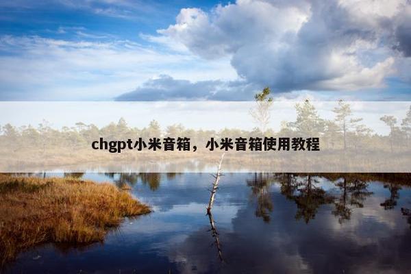 chgpt小米音箱，小米音箱使用教程