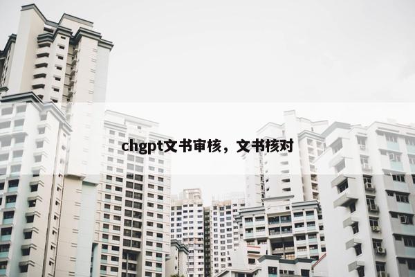 chgpt文书审核，文书核对