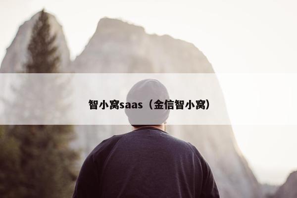 智小窝saas（金信智小窝）