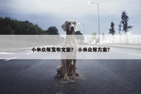 小米众筹发布文案？ 小米众筹方案？