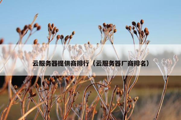 云服务器提供商排行（云服务器厂商排名）