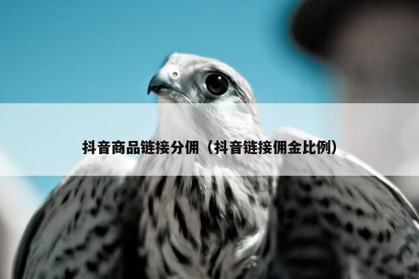 抖音商品链接分佣（抖音链接佣金比例）