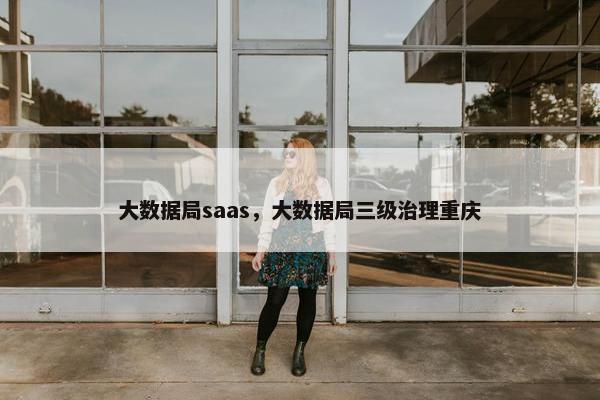 大数据局saas，大数据局三级治理重庆