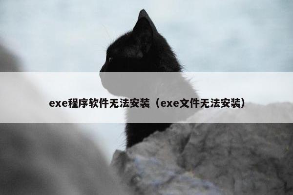 exe程序软件无法安装（exe文件无法安装）
