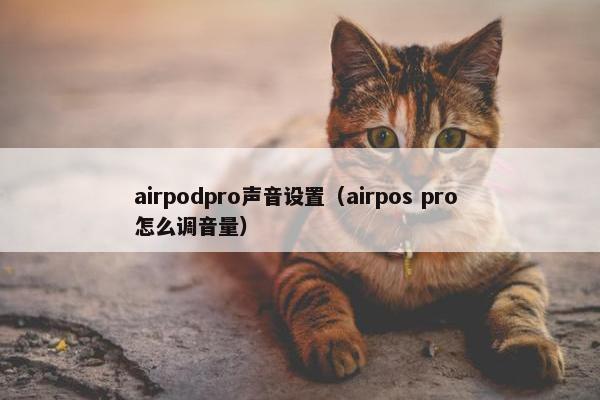 airpodpro声音设置（airpos pro 怎么调音量）
