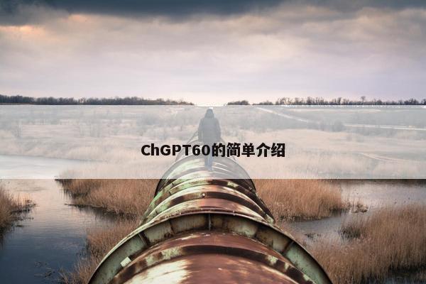 ChGPT60的简单介绍
