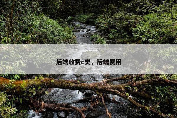 后端收费c类，后端费用
