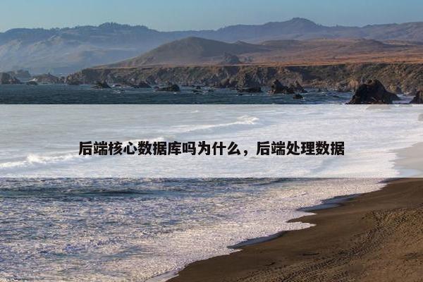 后端核心数据库吗为什么，后端处理数据