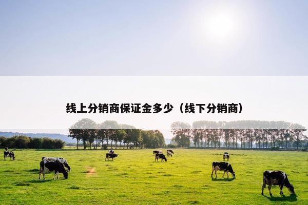 线上分销商保证金多少（线下分销商）