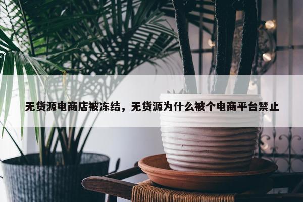 无货源电商店被冻结，无货源为什么被个电商平台禁止