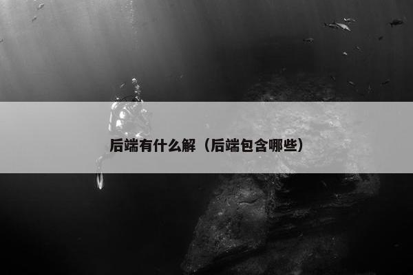 后端有什么解（后端包含哪些）