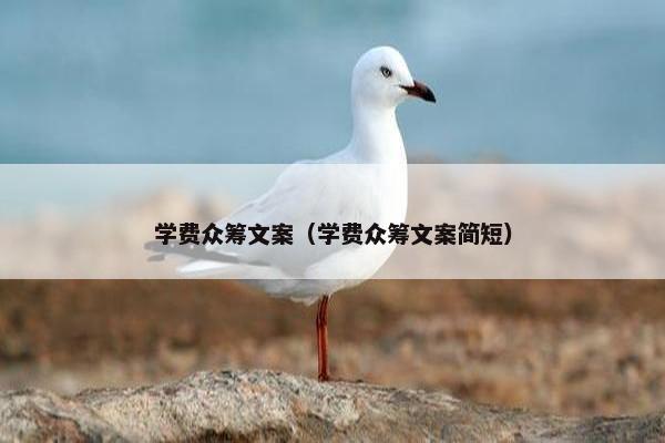 学费众筹文案（学费众筹文案简短）