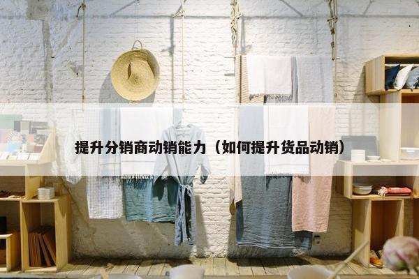 提升分销商动销能力（如何提升货品动销）