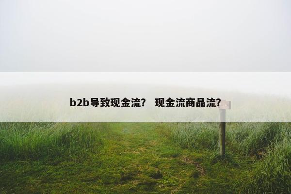 b2b导致现金流？ 现金流商品流？