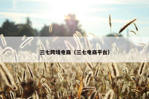 三七跨境电商（三七电商平台）
